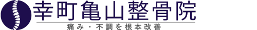幸町亀山整骨院